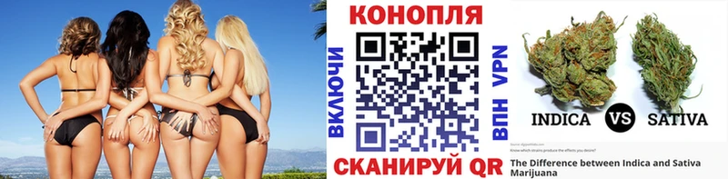МАРИХУАНА MAZAR  закладка  Шатура 